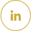 social-icon